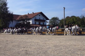 Stockhammer Hoffest 2009 155 - Kopie